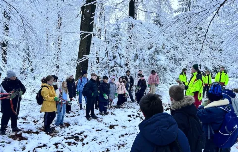 Teamgeist im Wald: Unser Jahrgang 5 macht den Weg frei!